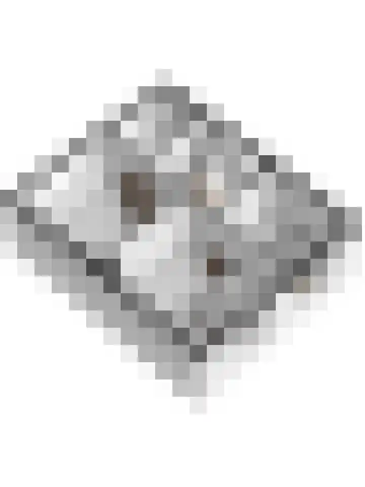 Wilhelminalaan 14 Maasbree thumbnail 52
