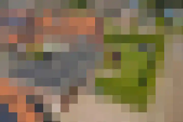 Wilhelminalaan 14 Maasbree thumbnail 6