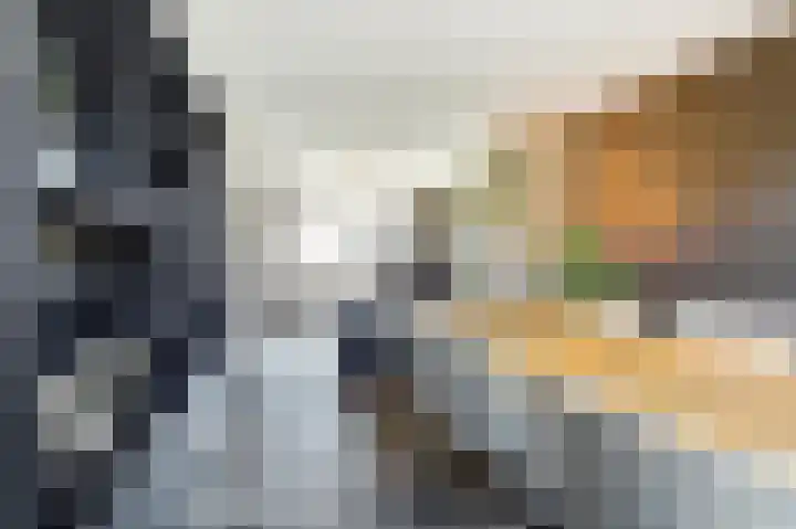 Wilhelminalaan 14 Maasbree thumbnail 9