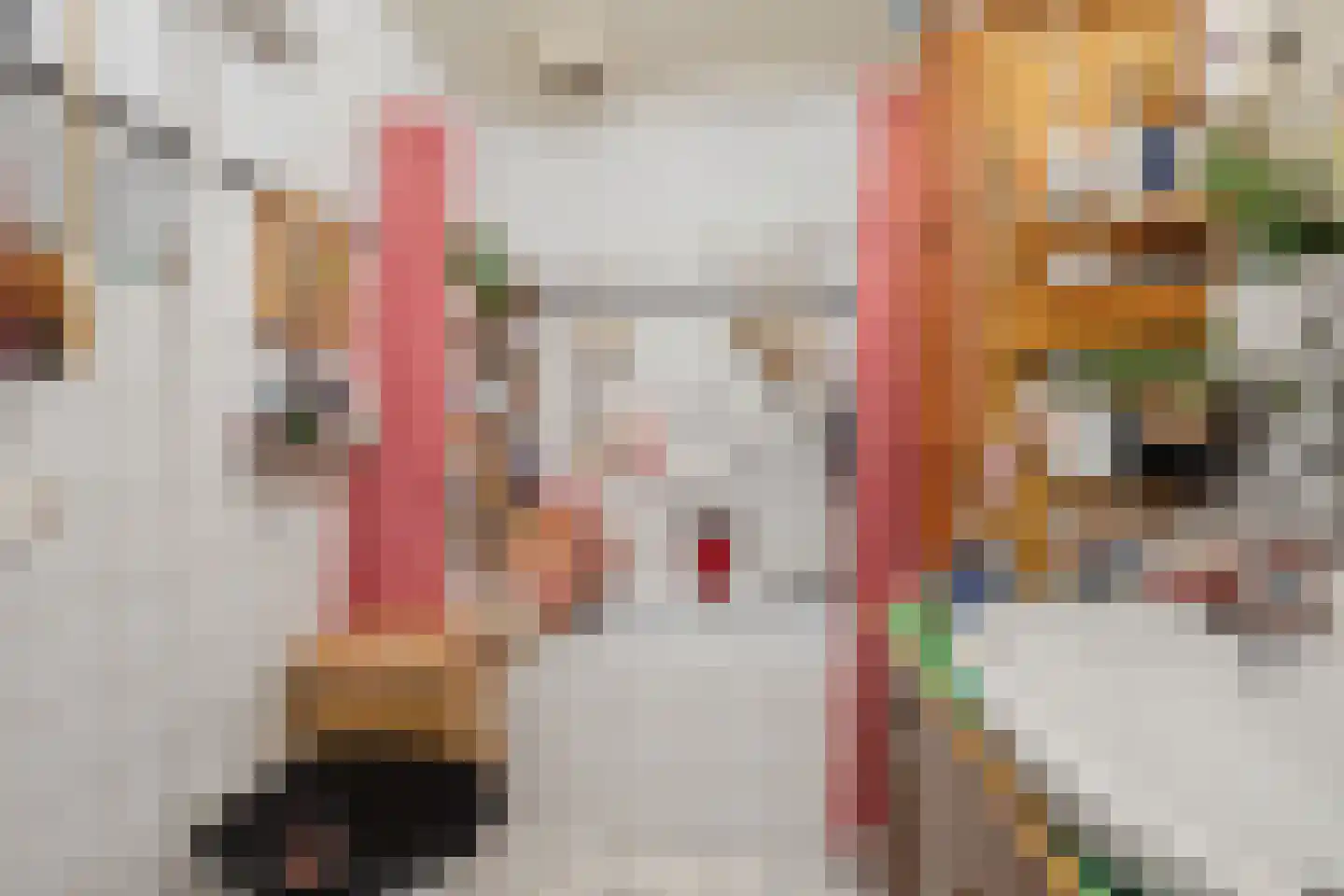 Wilhelminalaan 14 Oosterhout thumbnail 32