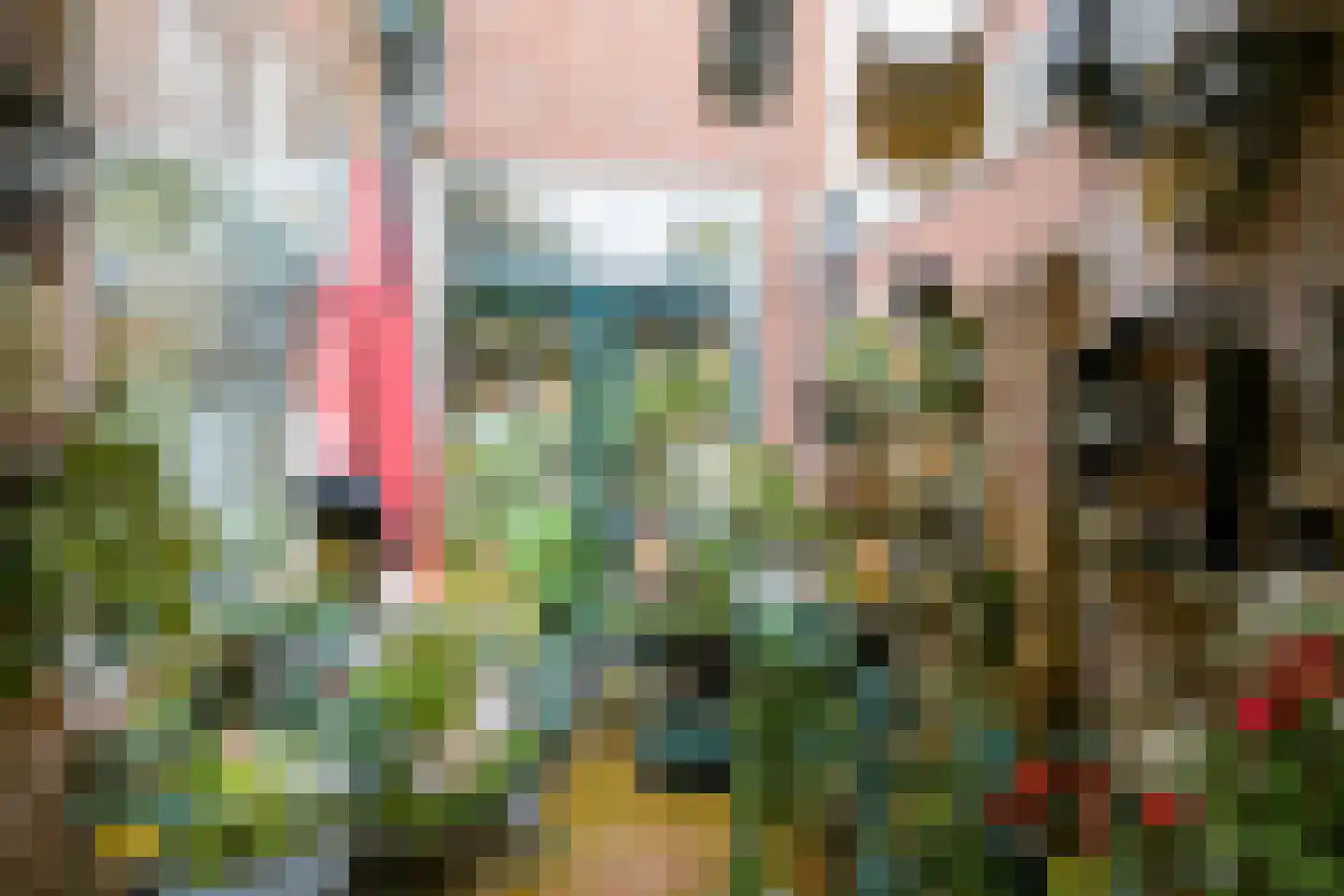Wilhelminalaan 14 Oosterhout thumbnail 41