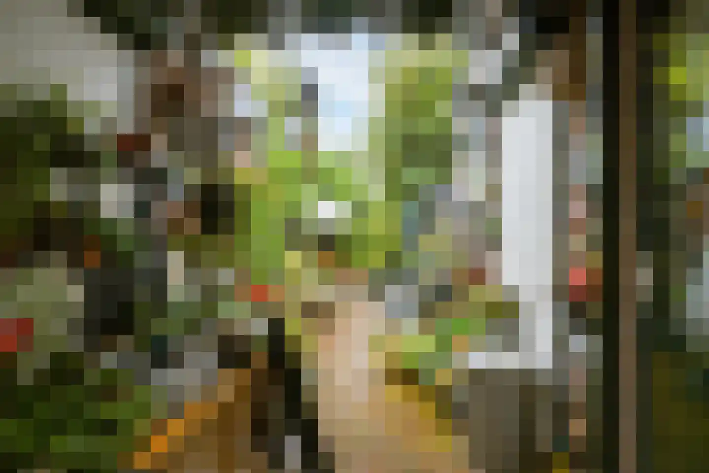 Wilhelminalaan 14 Oosterhout thumbnail 42