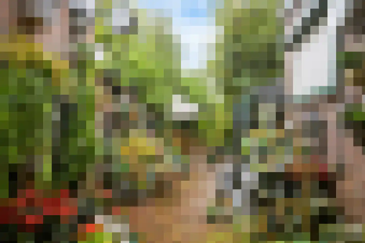 Wilhelminalaan 14 Oosterhout thumbnail 47