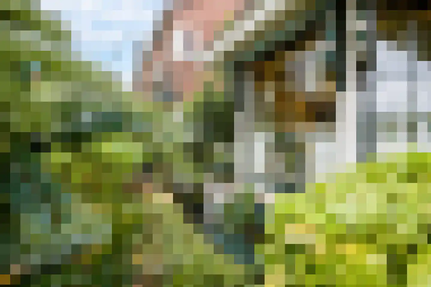 Wilhelminalaan 14 Oosterhout thumbnail 50