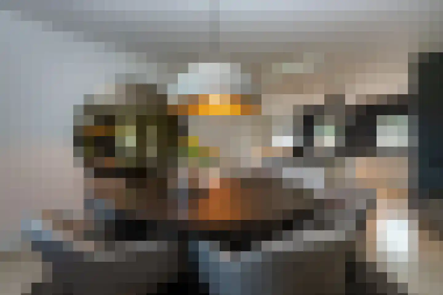 Wilhelminalaan 140 Beuningen Gld thumbnail 12