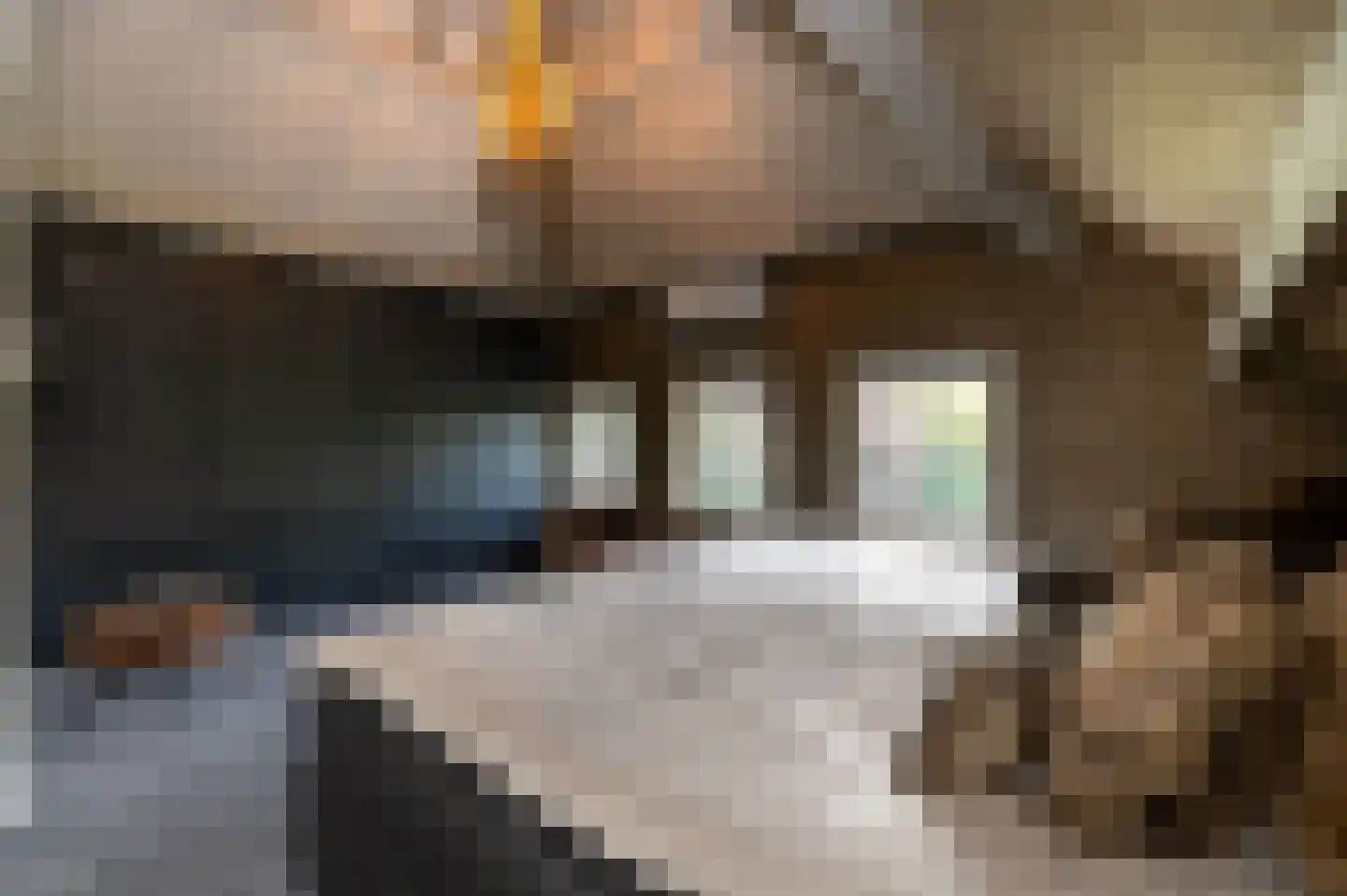 Wilhelminalaan 140 Beuningen Gld thumbnail 36