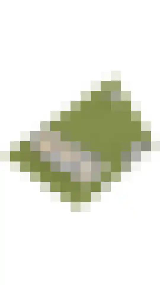 Wilhelminalaan 140 Beuningen Gld thumbnail 63