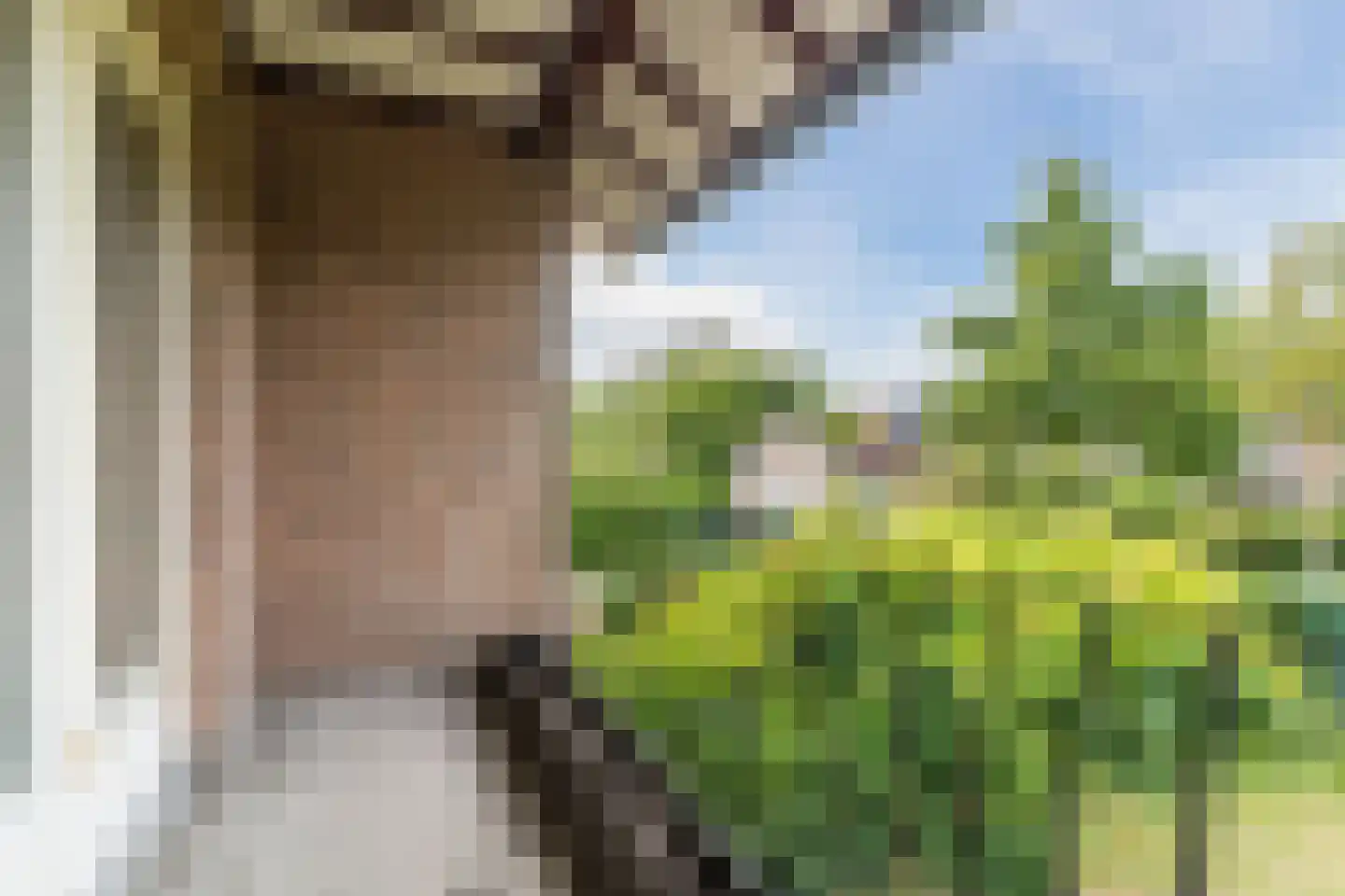 Wilhelminalaan 15 Geldrop thumbnail 29
