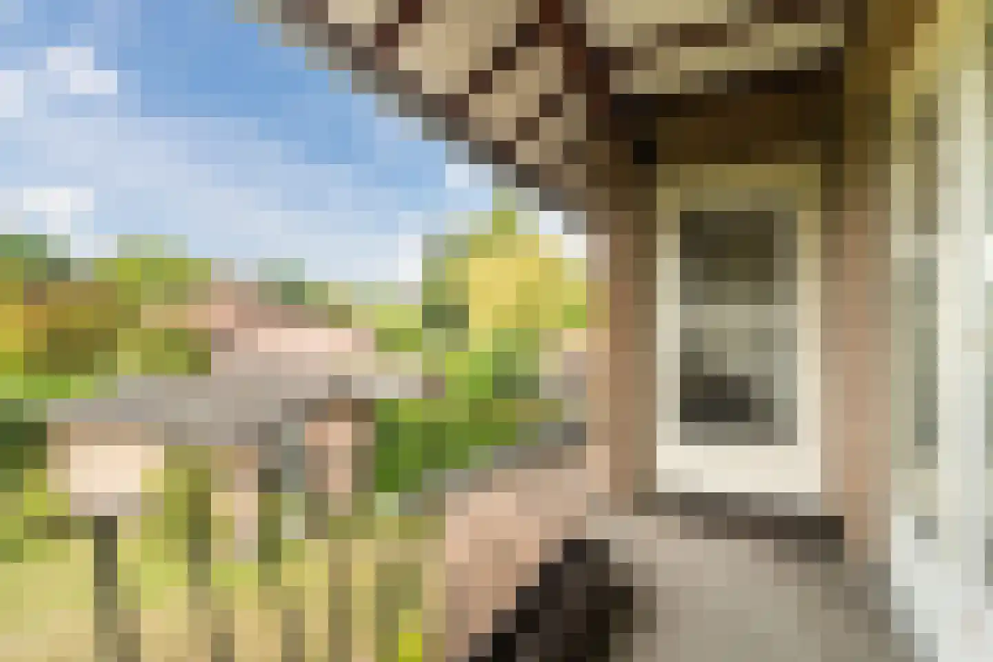 Wilhelminalaan 15 Geldrop thumbnail 32