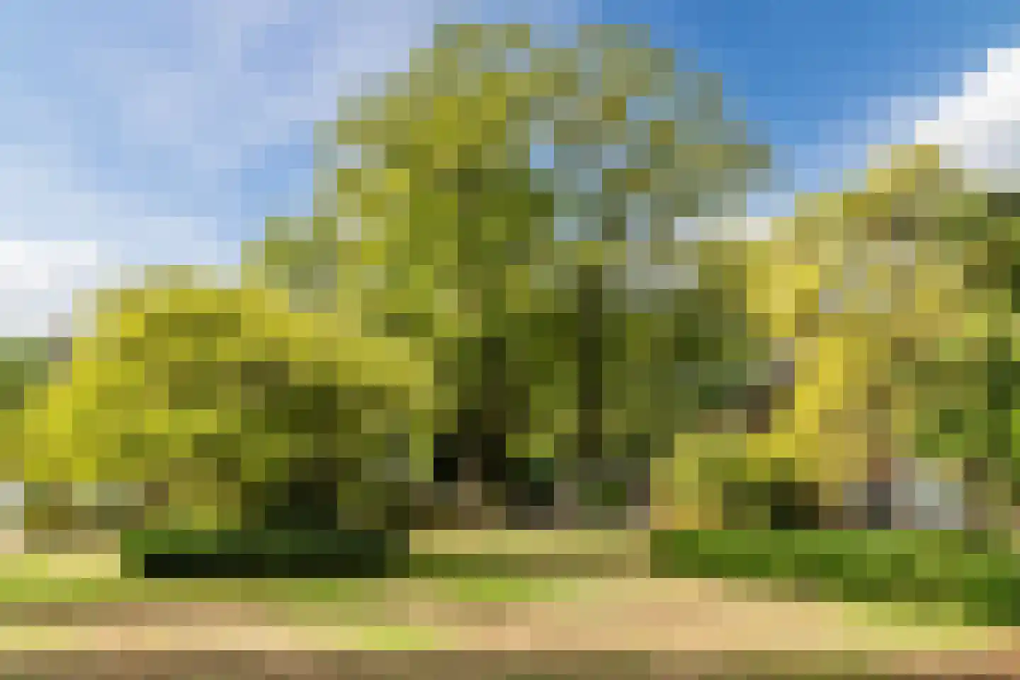 Wilhelminalaan 15 Geldrop thumbnail 4