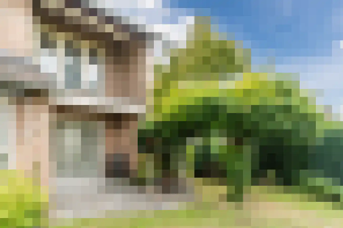 Wilhelminalaan 15 Geldrop thumbnail 45