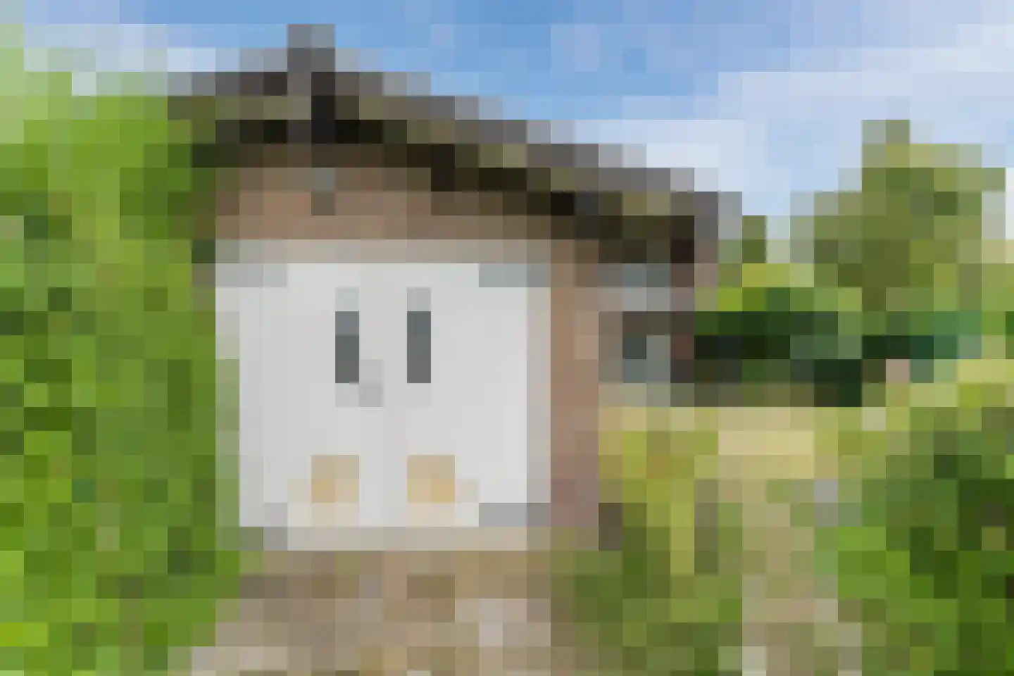 Wilhelminalaan 15 Geldrop thumbnail 50