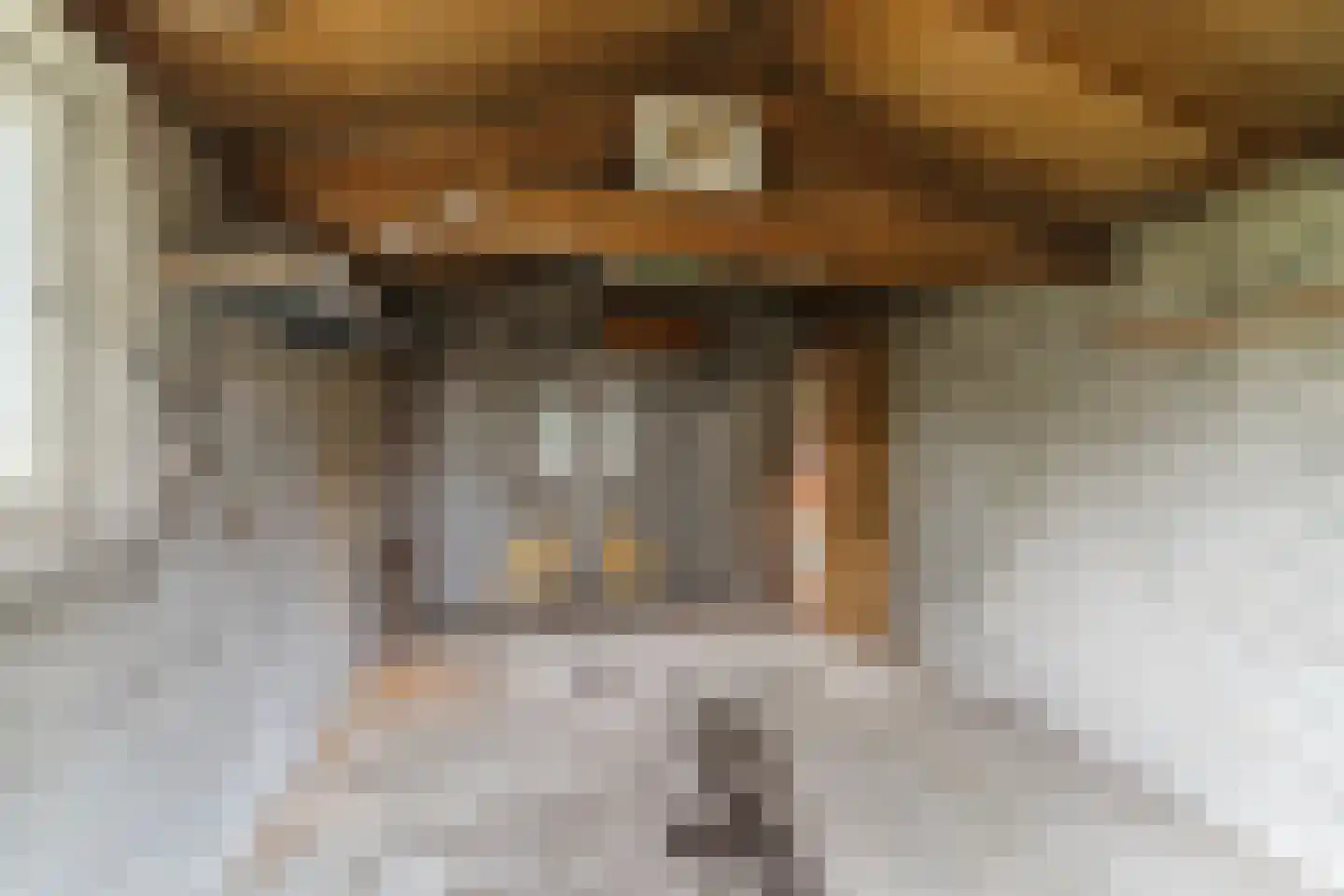 Wilhelminalaan 15 Geldrop thumbnail 51