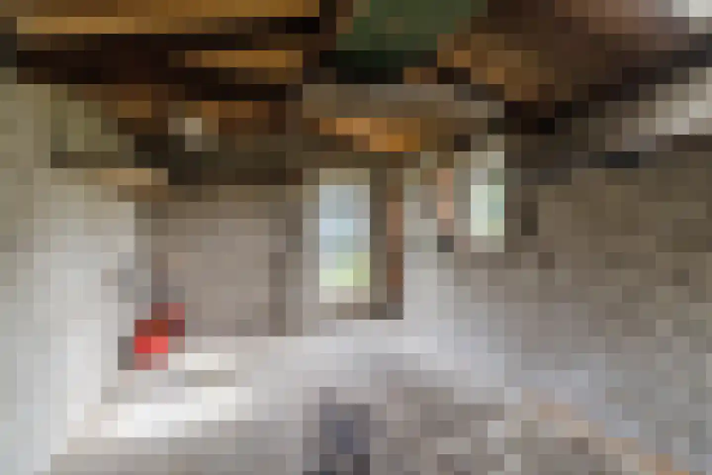 Wilhelminalaan 15 Geldrop thumbnail 52