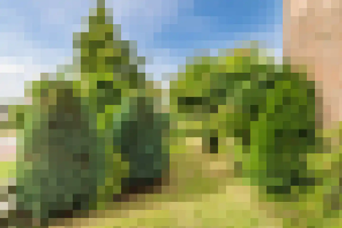 Wilhelminalaan 15 Geldrop thumbnail 54