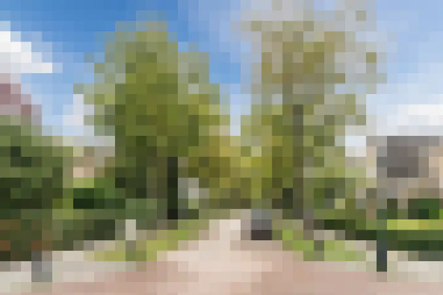 Wilhelminalaan 15 Geldrop thumbnail 61