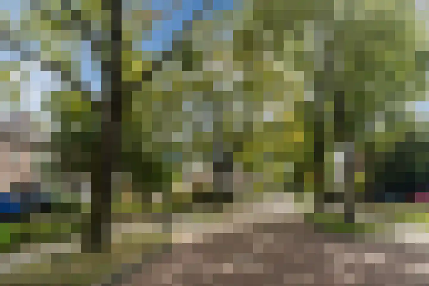 Wilhelminalaan 15 Geldrop thumbnail 62