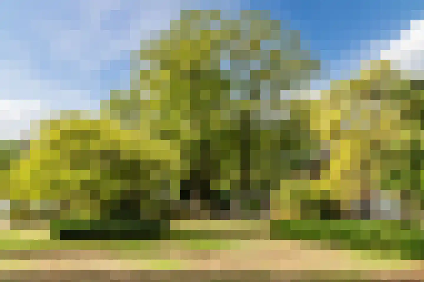 Wilhelminalaan 15 Geldrop thumbnail 63