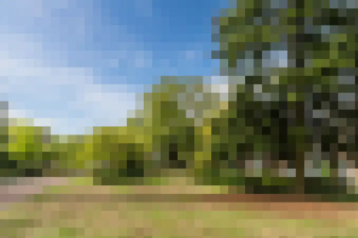 Wilhelminalaan 15 Geldrop thumbnail 64