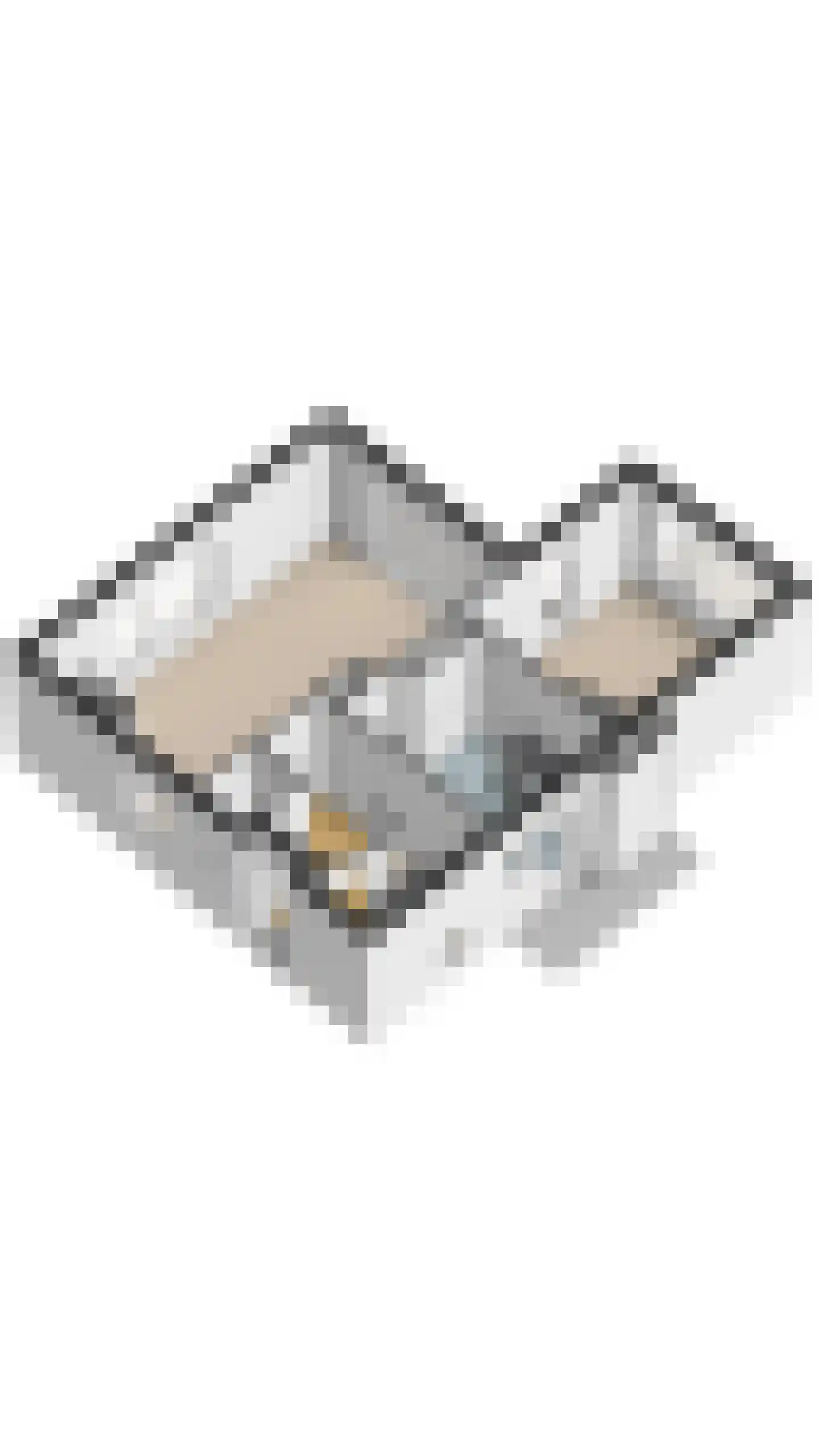 Wilhelminalaan 15 Geldrop thumbnail 69