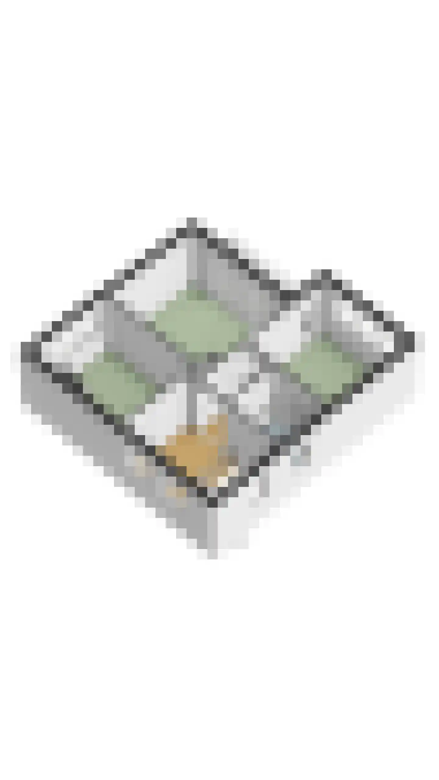Wilhelminalaan 15 Geldrop thumbnail 70