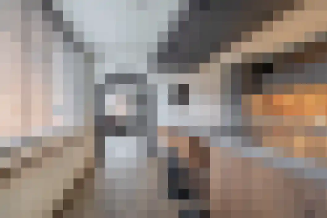 Wilhelminalaan 15 Muntendam thumbnail 15