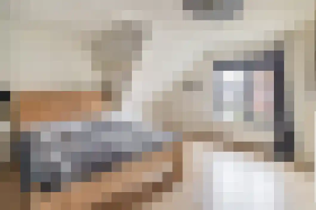 Wilhelminalaan 15 Muntendam thumbnail 23