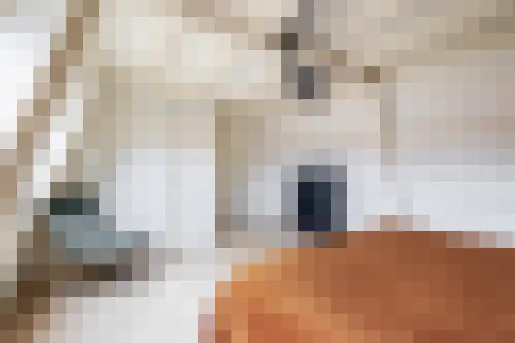 Wilhelminalaan 15 Muntendam thumbnail 28