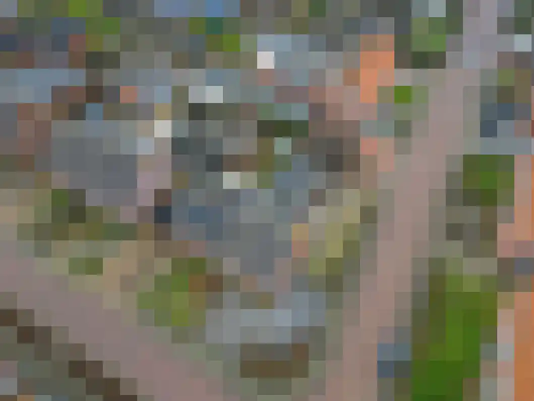Wilhelminalaan 15 Muntendam thumbnail 34