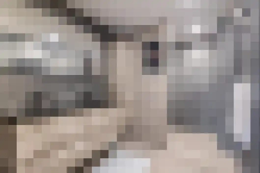 Wilhelminalaan 15 Muntendam thumbnail 5