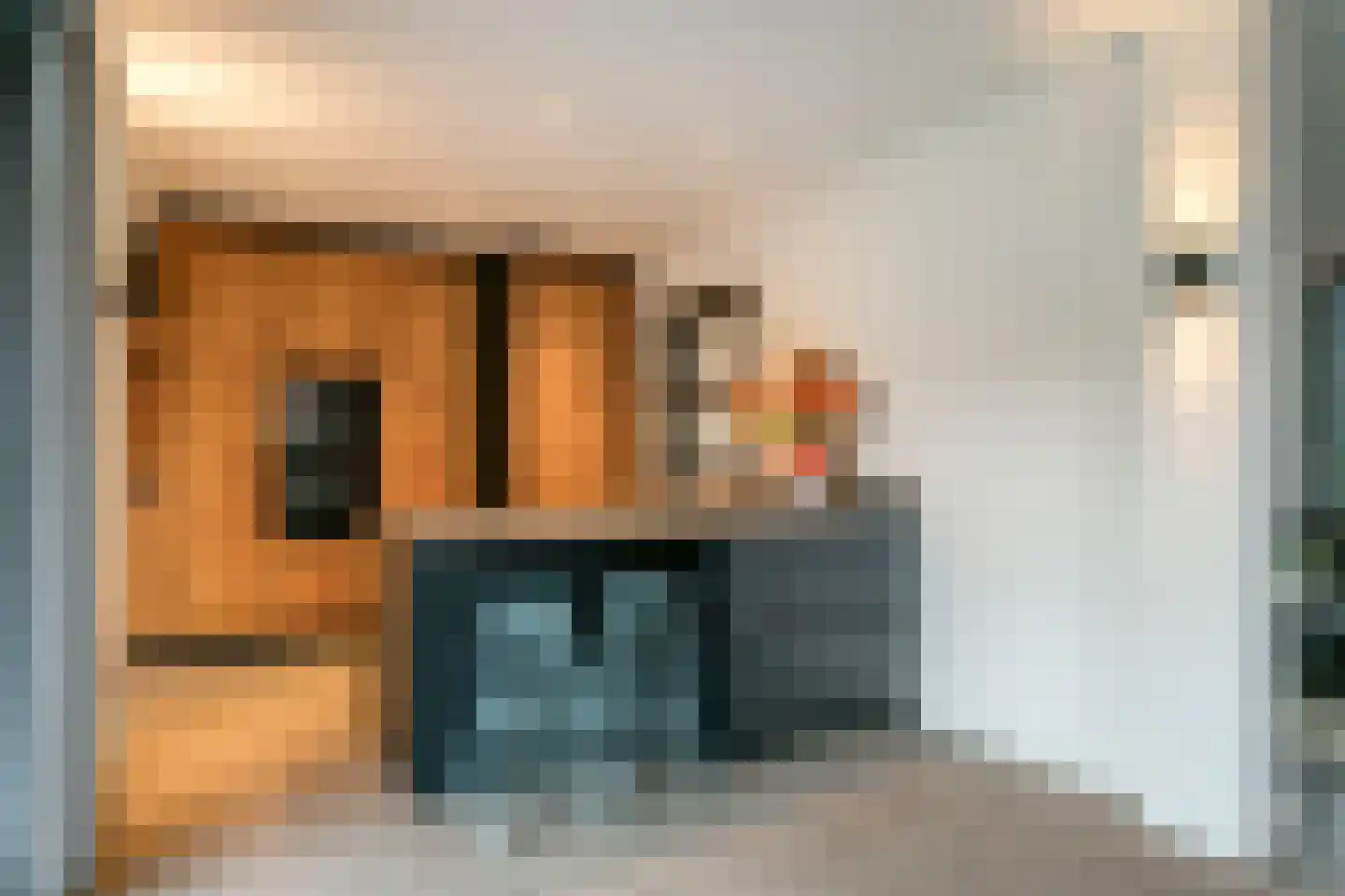 Wilhelminalaan 15 Son en Breugel thumbnail 12