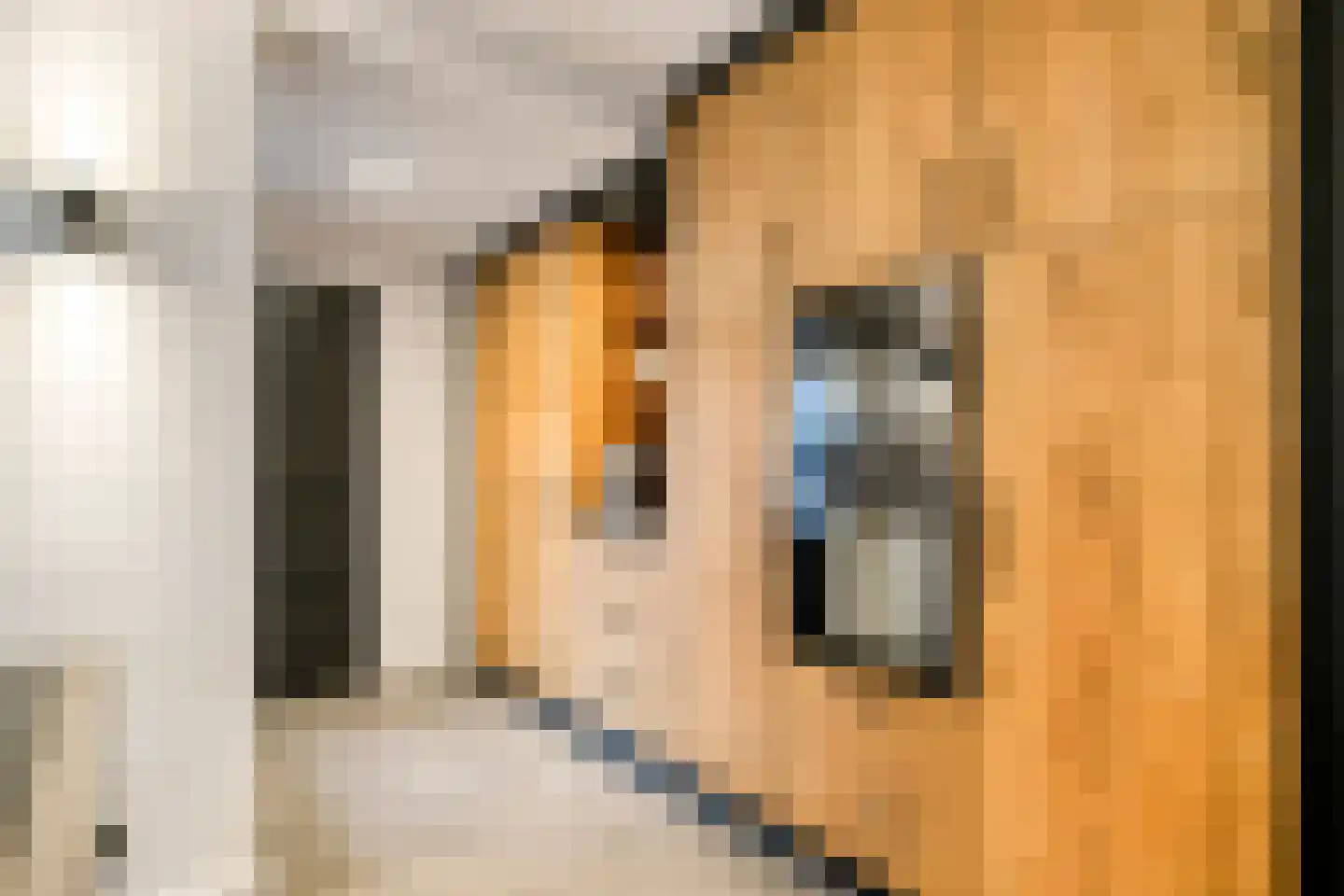 Wilhelminalaan 15 Son en Breugel thumbnail 16