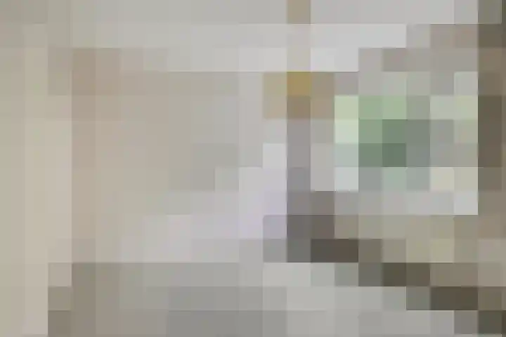 Wilhelminalaan 16 Harmelen thumbnail 15