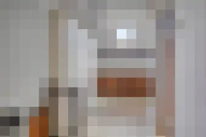Wilhelminalaan 16 Harmelen thumbnail 23