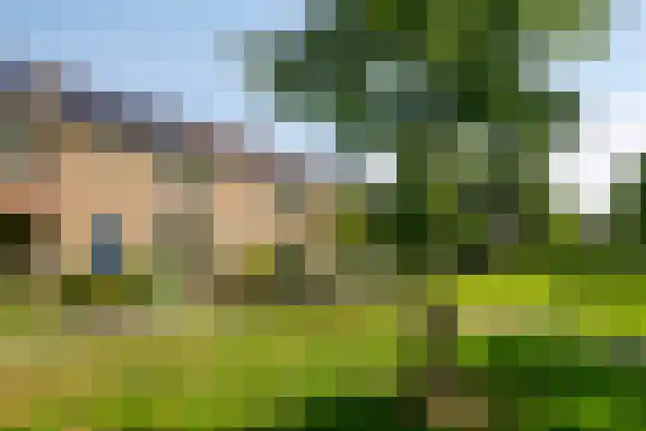 Wilhelminalaan 16 Harmelen thumbnail 26