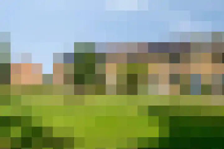Wilhelminalaan 16 Harmelen thumbnail 27