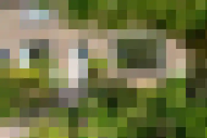 Wilhelminalaan 16 Harmelen thumbnail 28