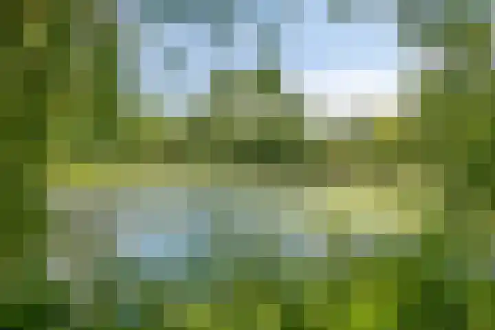 Wilhelminalaan 16 Harmelen thumbnail 30