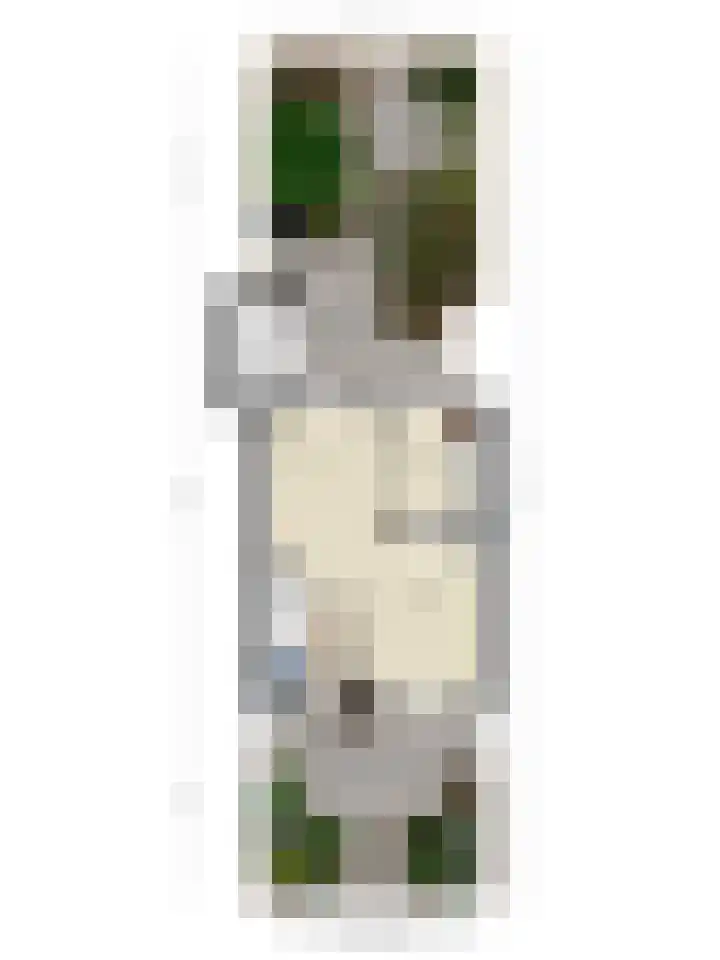 Wilhelminalaan 16 Harmelen thumbnail 34