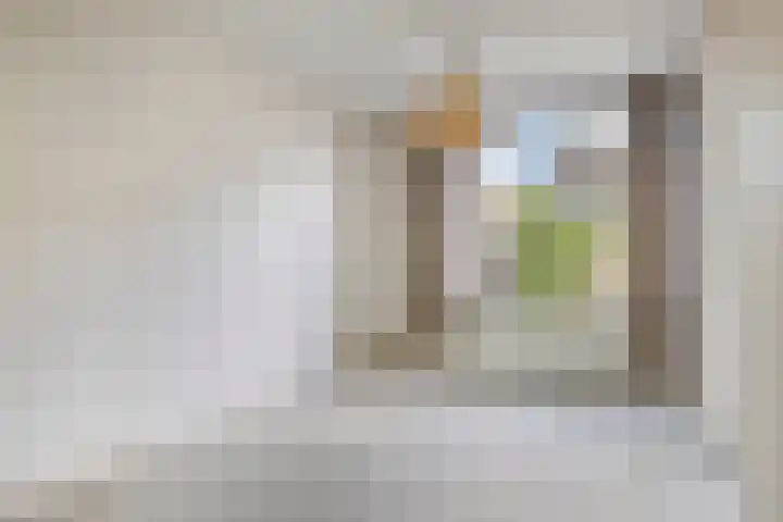 Wilhelminalaan 16 Harmelen thumbnail 8