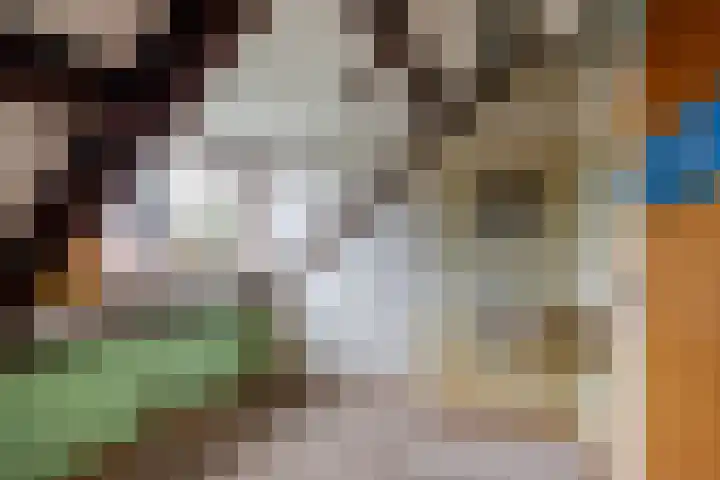 Wilhelminalaan 16 Vleuten thumbnail 14