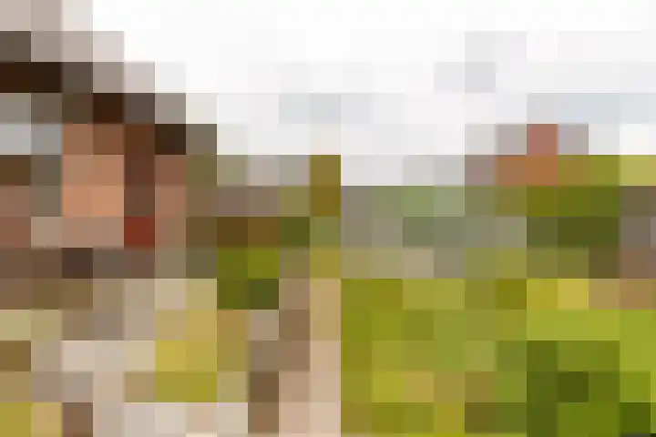 Wilhelminalaan 16 Vleuten thumbnail 17