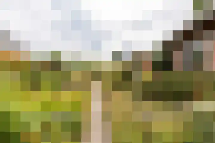 Wilhelminalaan 16 Vleuten thumbnail 18
