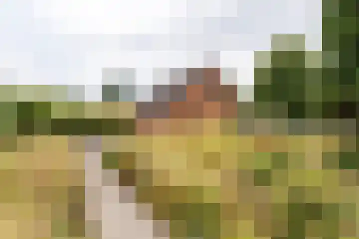 Wilhelminalaan 16 Vleuten thumbnail 19