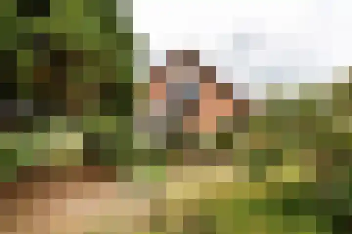 Wilhelminalaan 16 Vleuten thumbnail 20