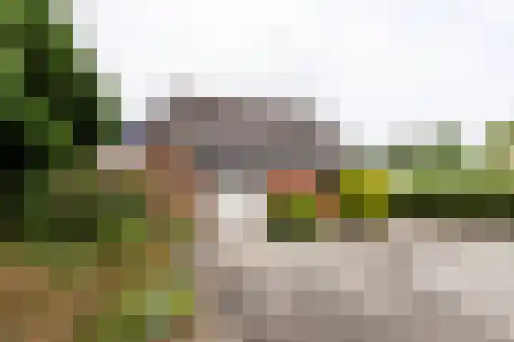 Wilhelminalaan 16 Vleuten thumbnail 21