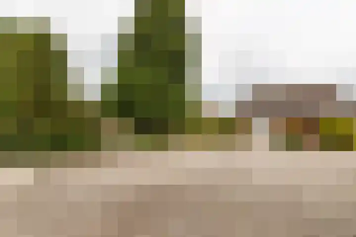 Wilhelminalaan 16 Vleuten thumbnail 22