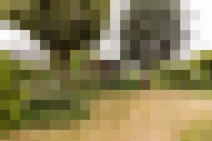 Wilhelminalaan 16 Vleuten thumbnail 25