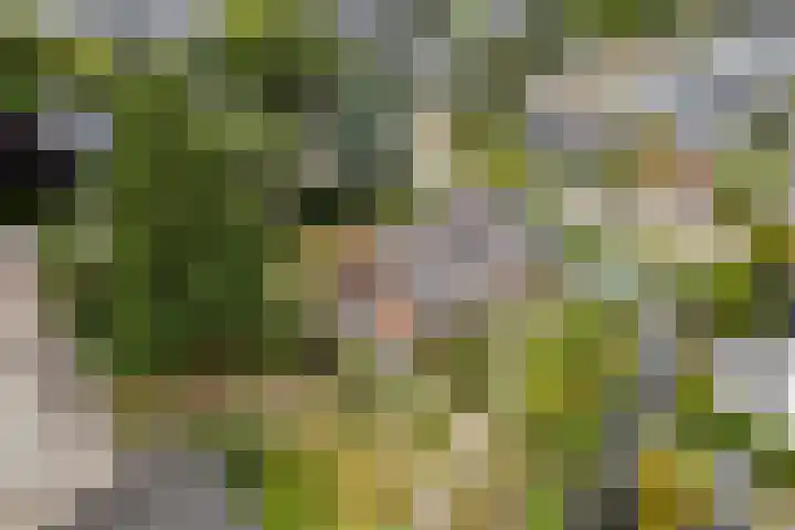 Wilhelminalaan 16 Vleuten thumbnail 27