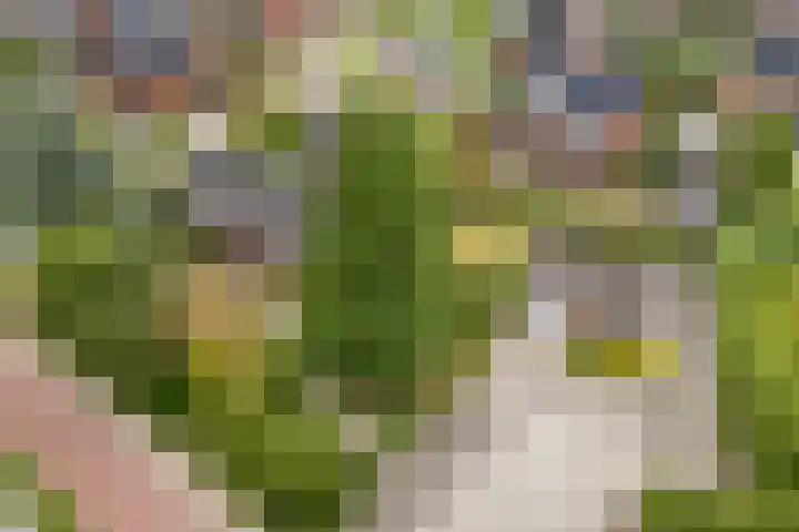 Wilhelminalaan 16 Vleuten thumbnail 28